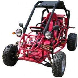 buggy dazon raider pro 250 revue technique