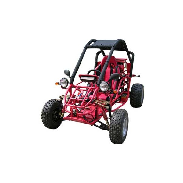 buggy dazon raider pro 250 revue technique