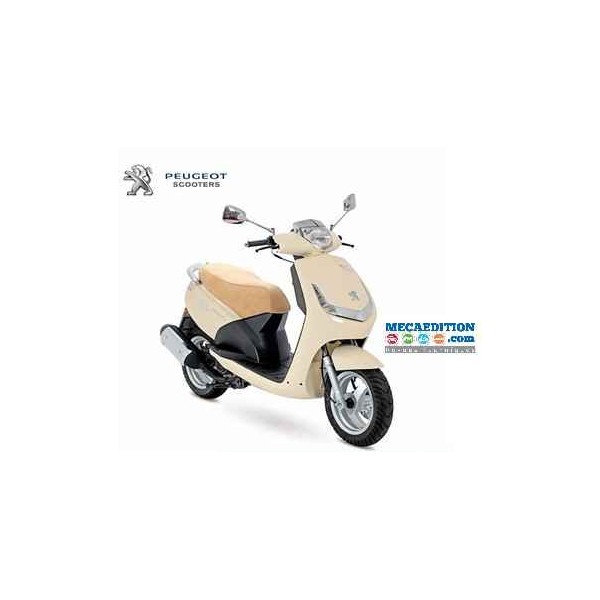 revue technique scooter peugeot vivacity 50 4 temps